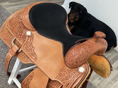 Equine Oasis 16" Padded Seat Western Saddle - Excellent Condition, Tooled Leather