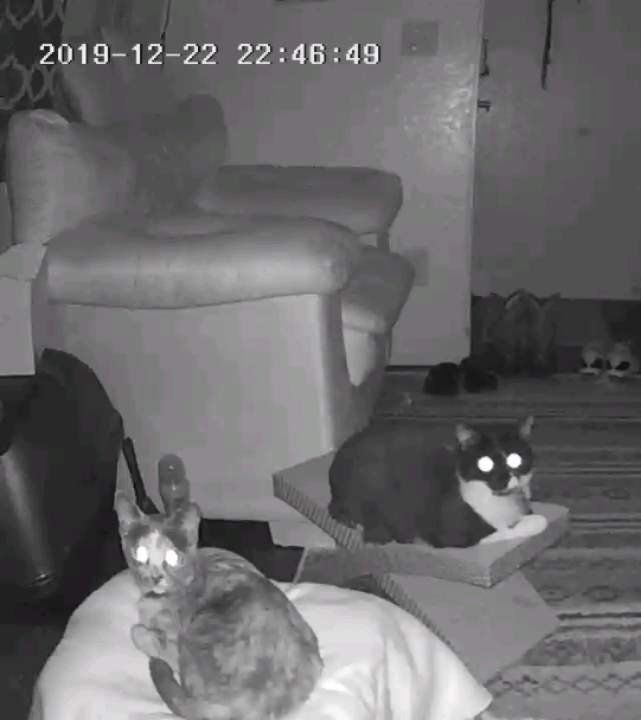 Main image 45