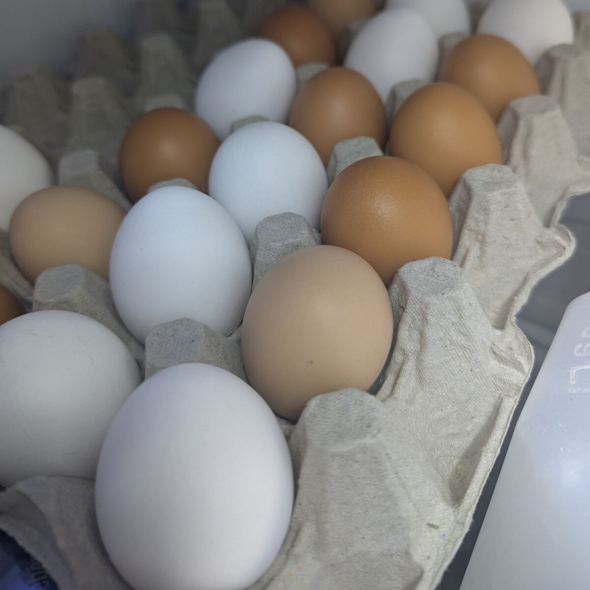 Farm Fresh Eggs