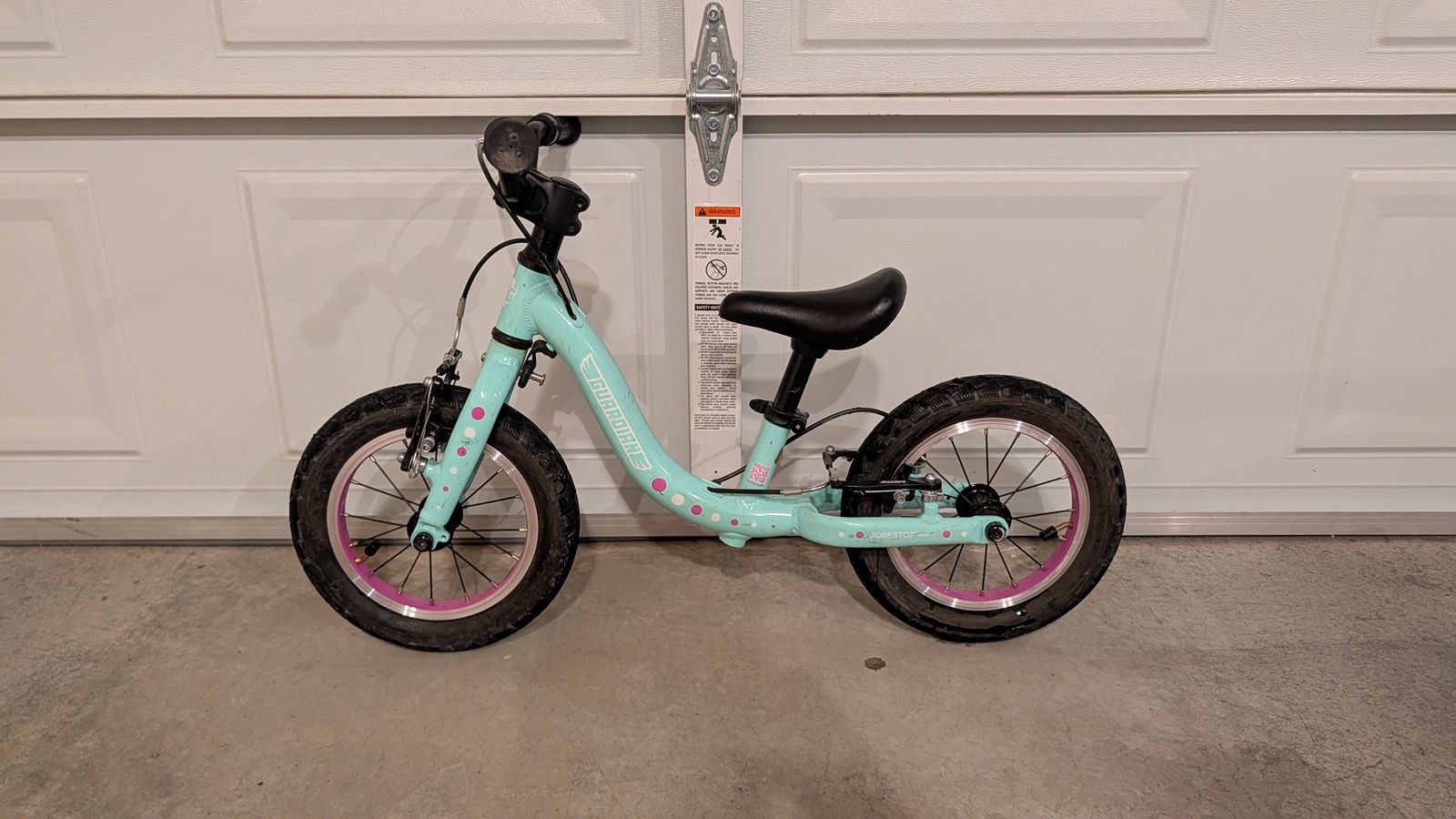 Guardian Strider Bike