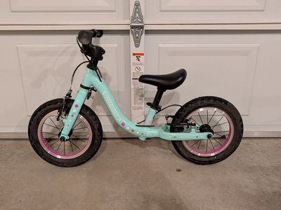 Guardian Strider Bike