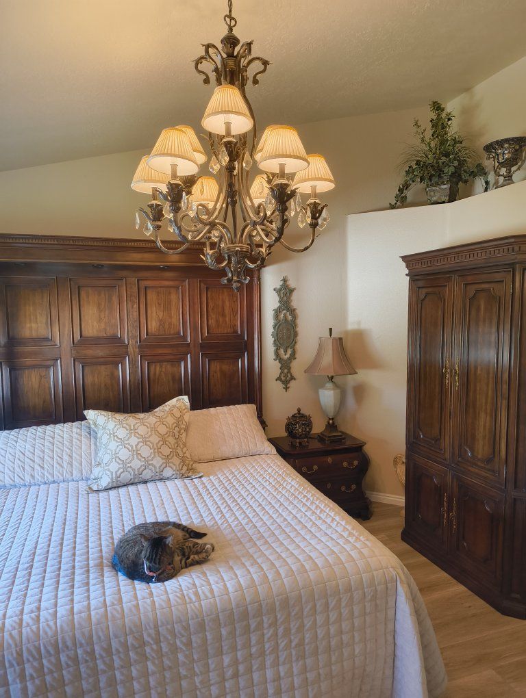 Beautiful black iron chandelier
