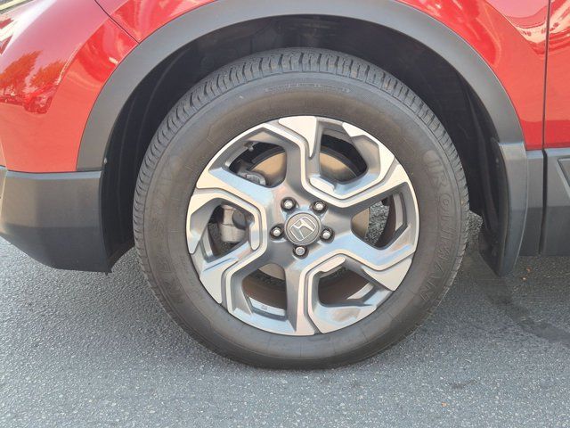 Main image 11