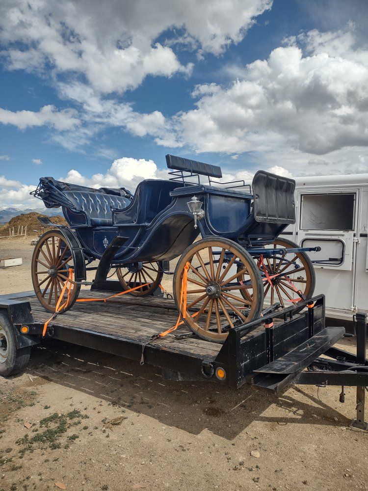 beautiful horse carriage wagon