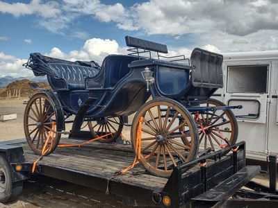 beautiful horse carriage wagon