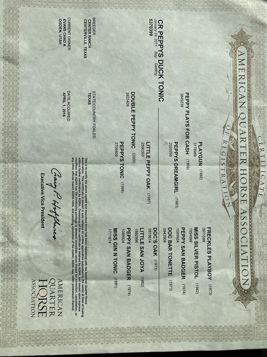 Finished Switchender