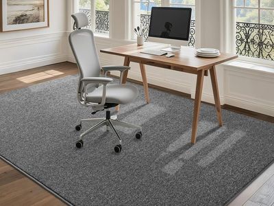 New! FALARK 4x6 Dark Grey Area Rug