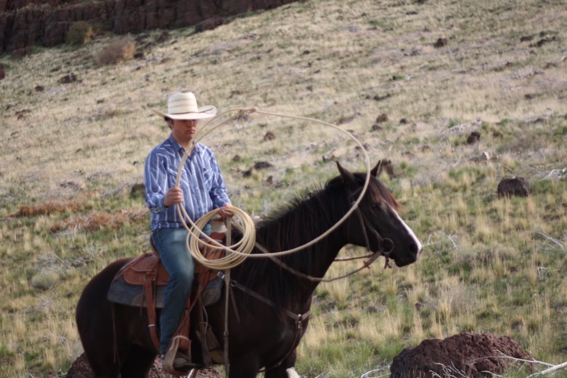 4 year old mare
