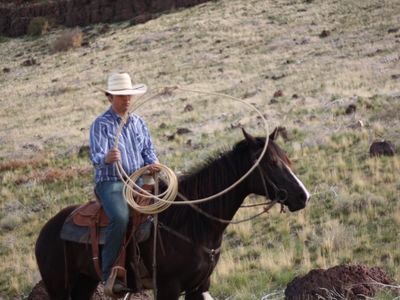4 year old mare