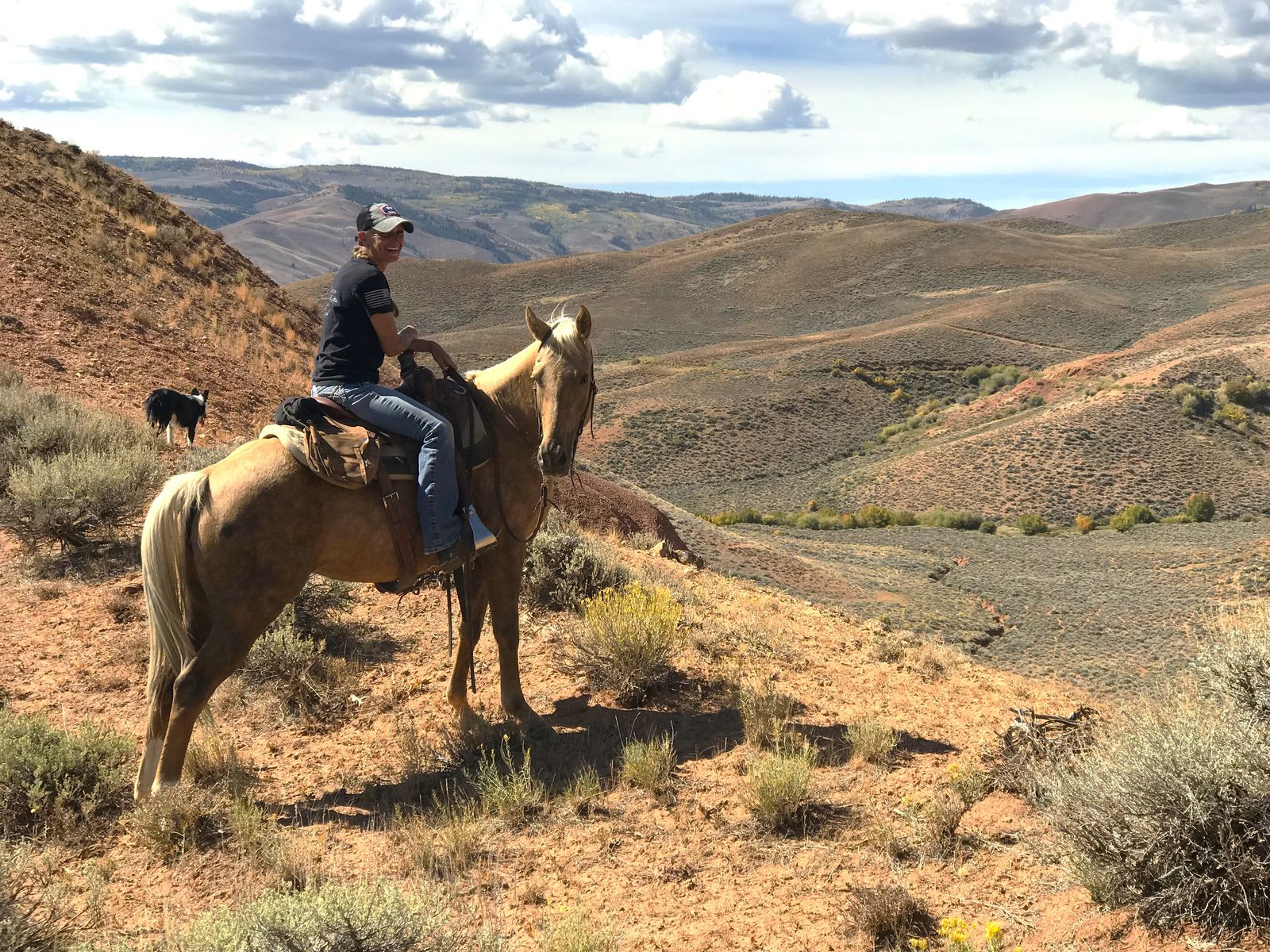 Beautiful AQHA Papered 7-year old Palomino Mare