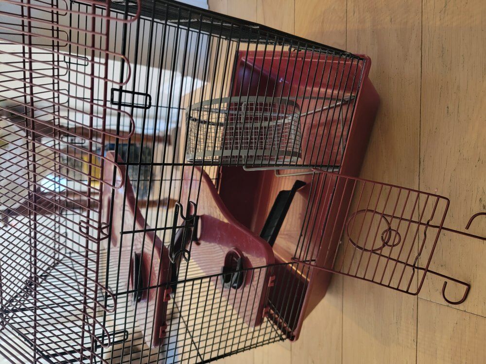 hamster or mouse cage and wheel.