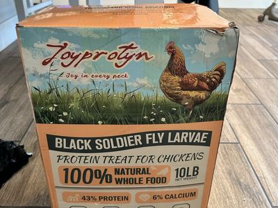 Black Soldier Fly Larvae 10lb Chicken Protein Treat - 100% Natural Whole Food