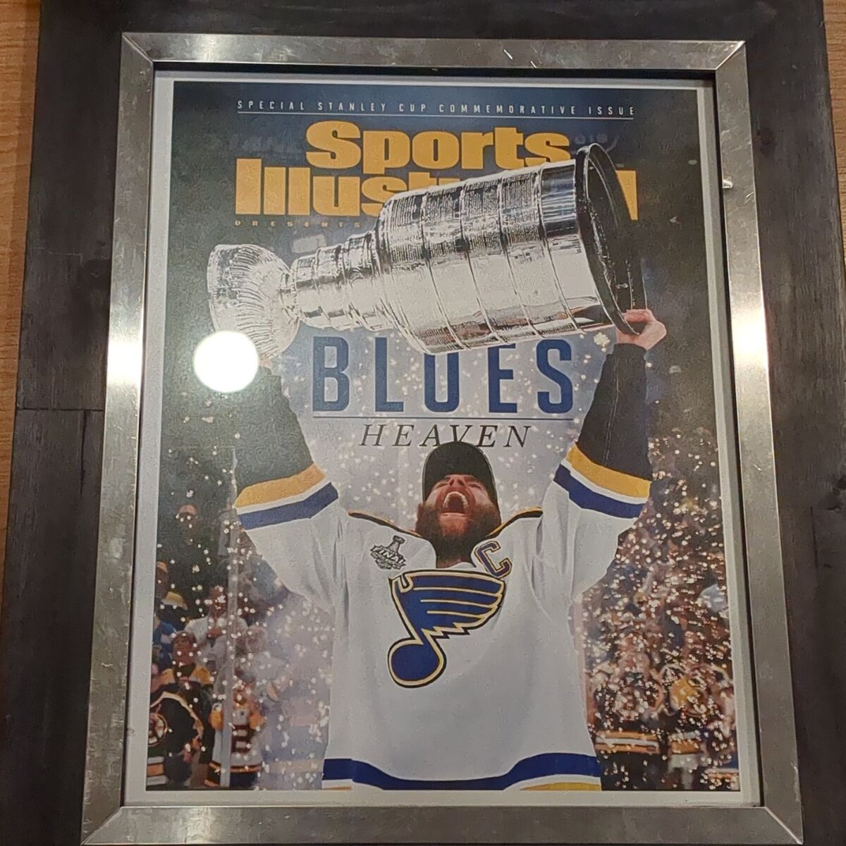 St Louis Blue 2019 NHL picture