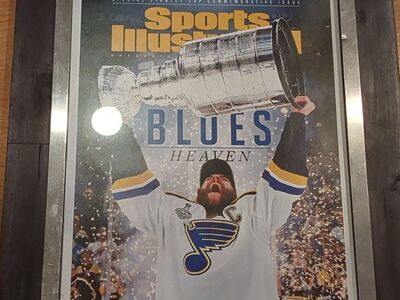 St Louis Blue 2019 NHL picture