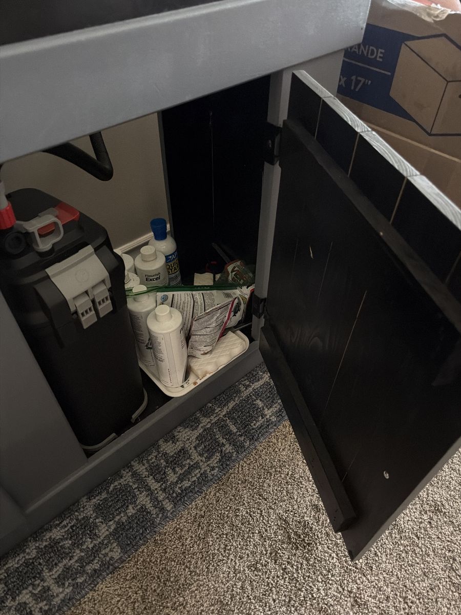 Main image 3