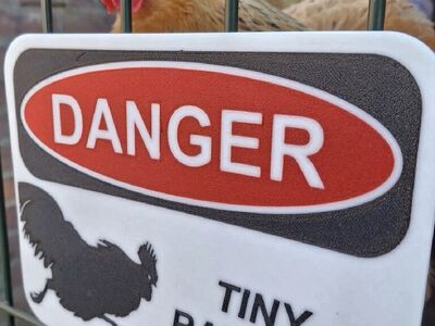 Fun Sign For Chicken Coop!