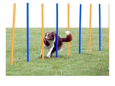 Trixie Dog Agility Slalom Course - 12 Adjustable Weave Poles Backyard Training Kit with Carry Bag