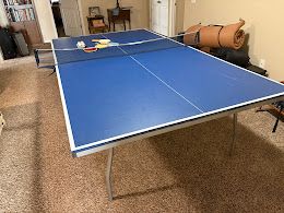 Ping Pong Table