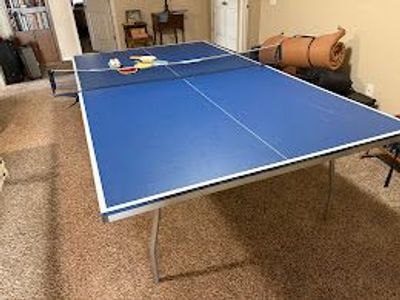 Ping Pong Table