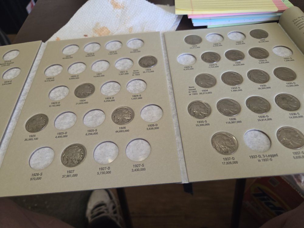 buffalo nickels 22 coins and book or 15dollars each