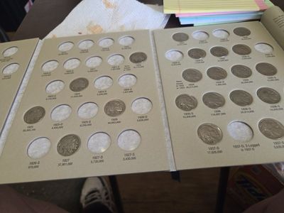 buffalo nickels 22 coins and book or 15dollars each