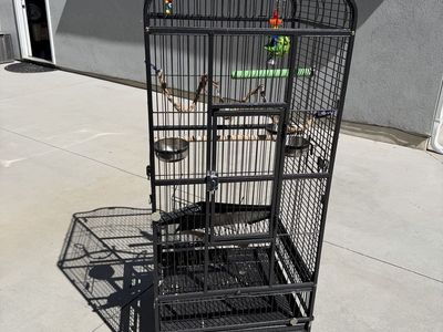 Large BIrd Cage