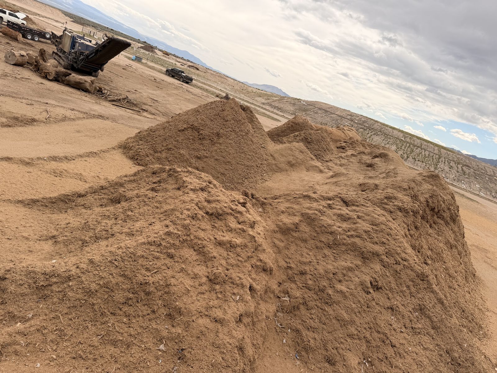 Wood chips