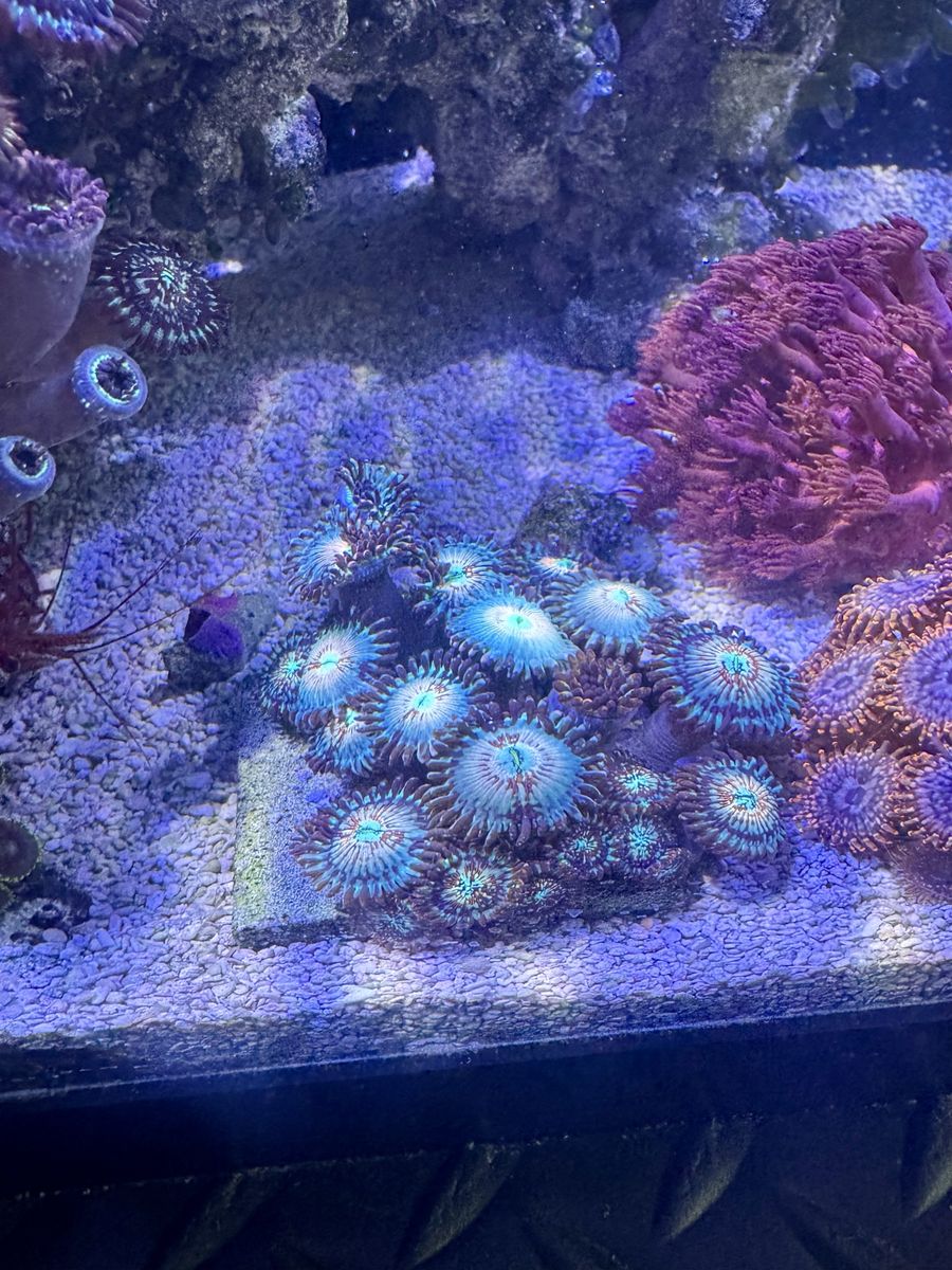 Main image 3