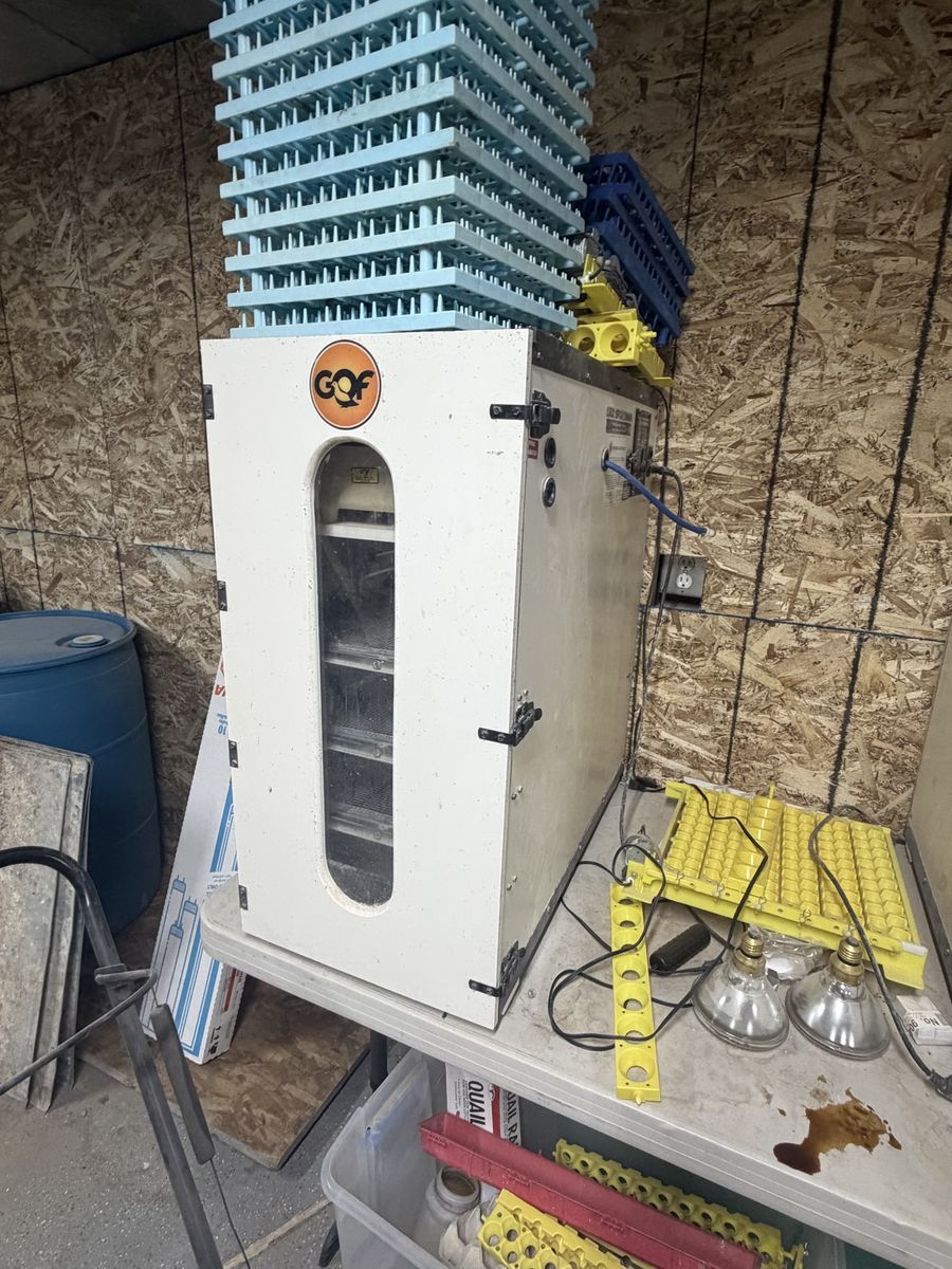 GQF 1502 Sportsman Digital Egg Incubator