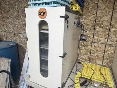 GQF 1502 Sportsman Digital Egg Incubator