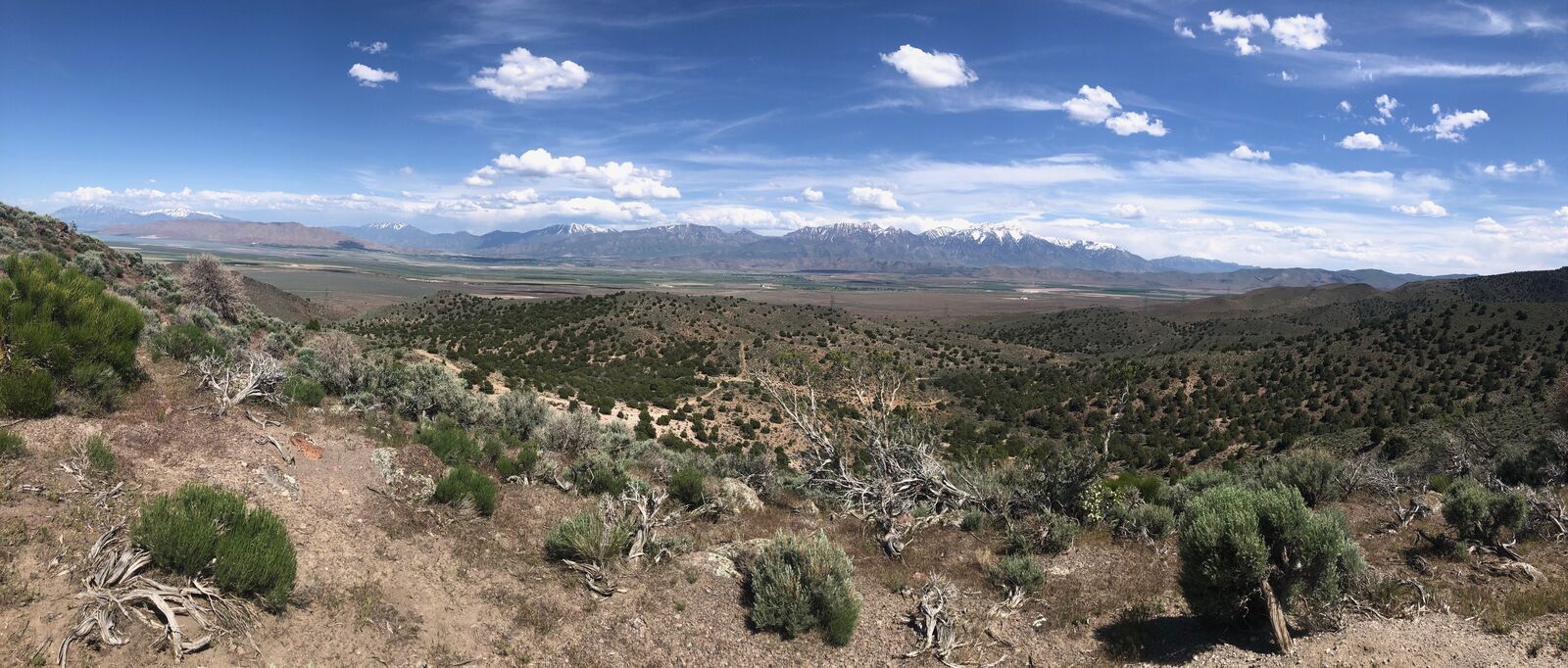 Eureka / Pre-Spring Sale / 20 Acres