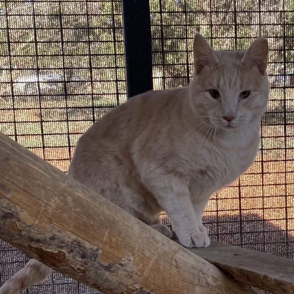 Hello my name is Arden