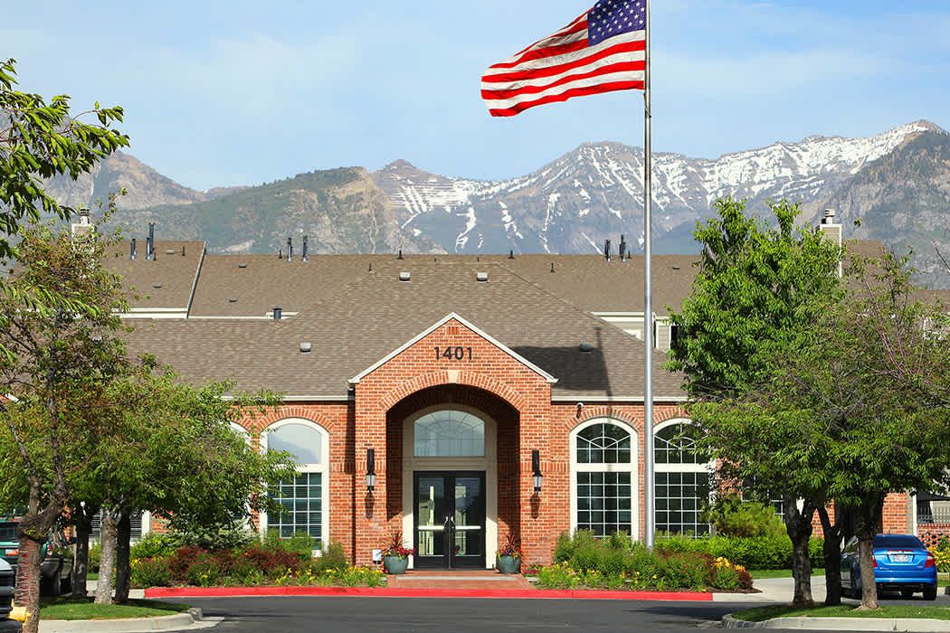 Main image 5