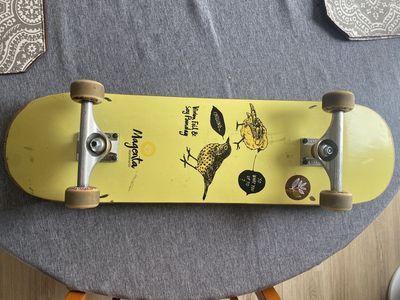 Full sized skateboard 8.15”