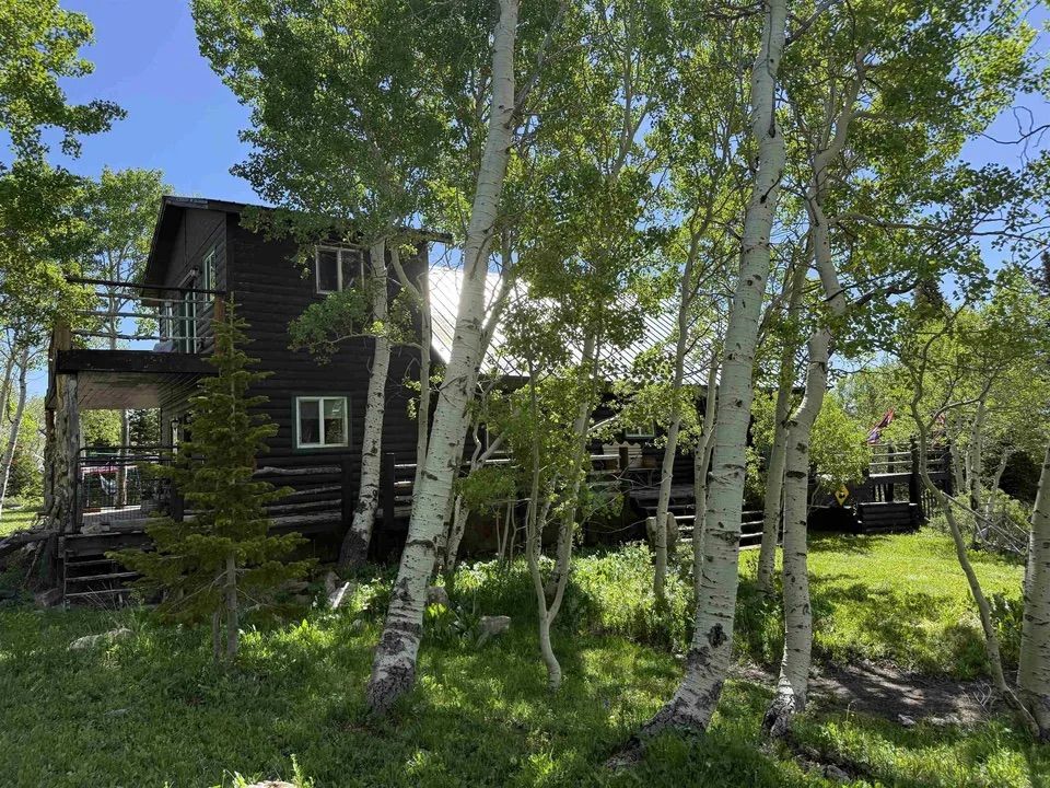 Main image 9