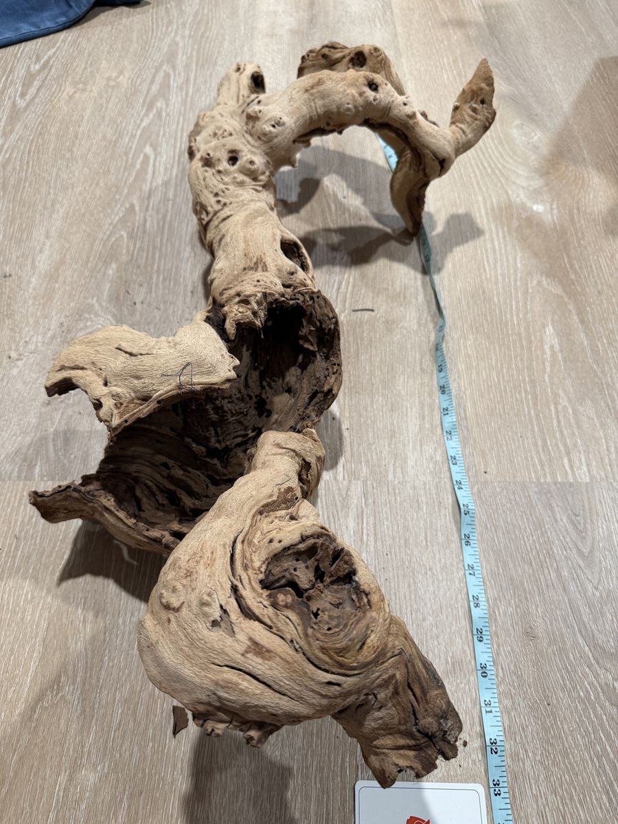 Main image 5