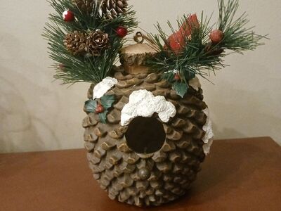 Pinecone birdfeeder