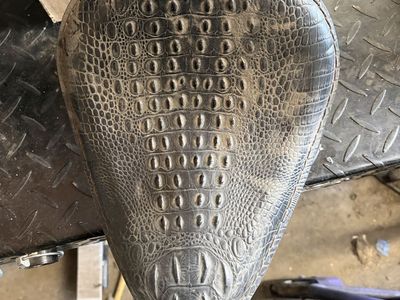 Chopper solo seat $30 OBO