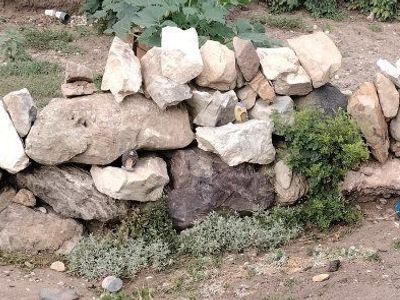 Assorted Landscape Rocks - Retaining Wall Garden Edging Fillers