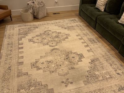 Pottery Barn Rug