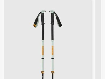 Traverse Pro Ski poles