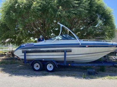 22ft Reinell