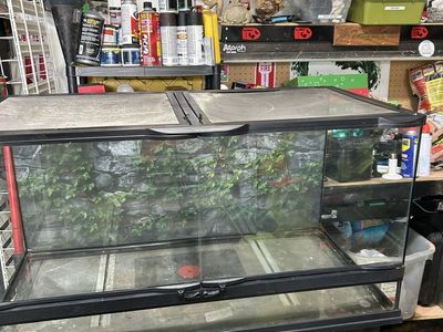 Zoomed tank