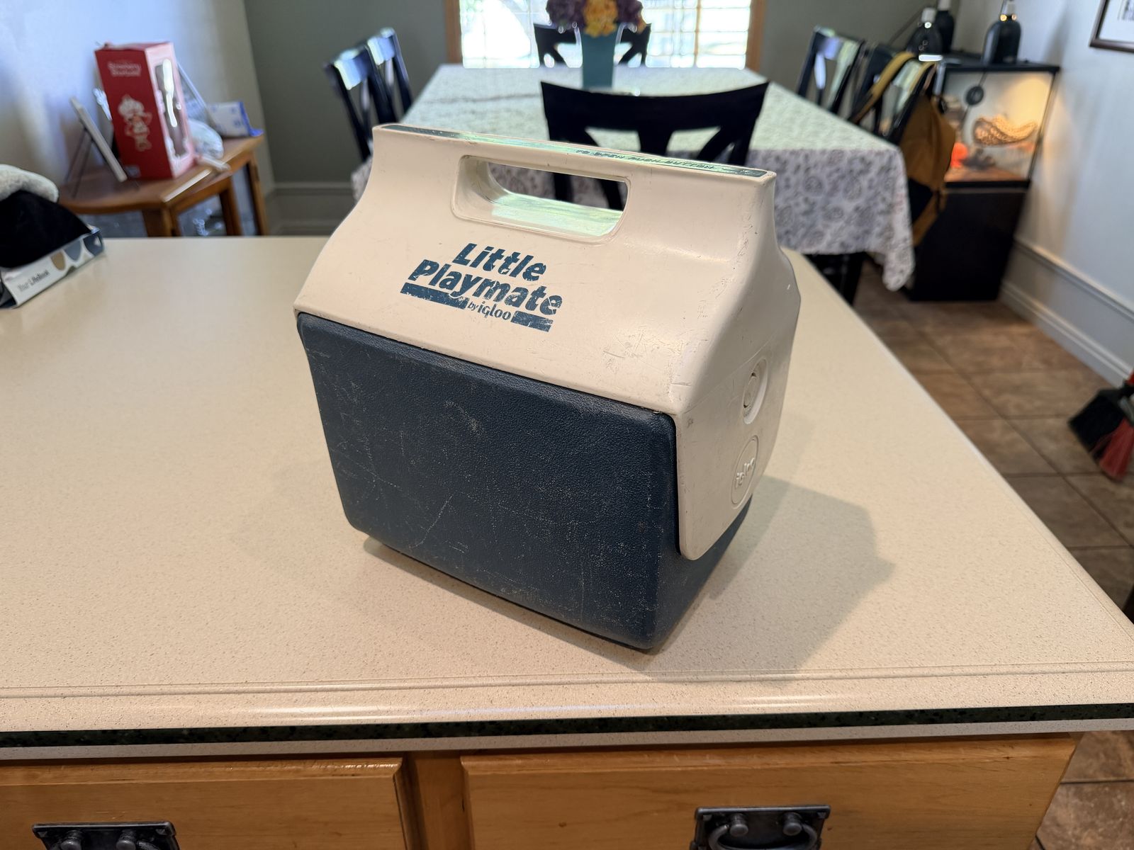 Igloo Playmate mini cooler