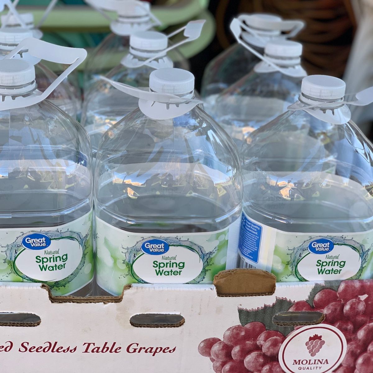 Free 51 Gallon Size Water bottles -Empty