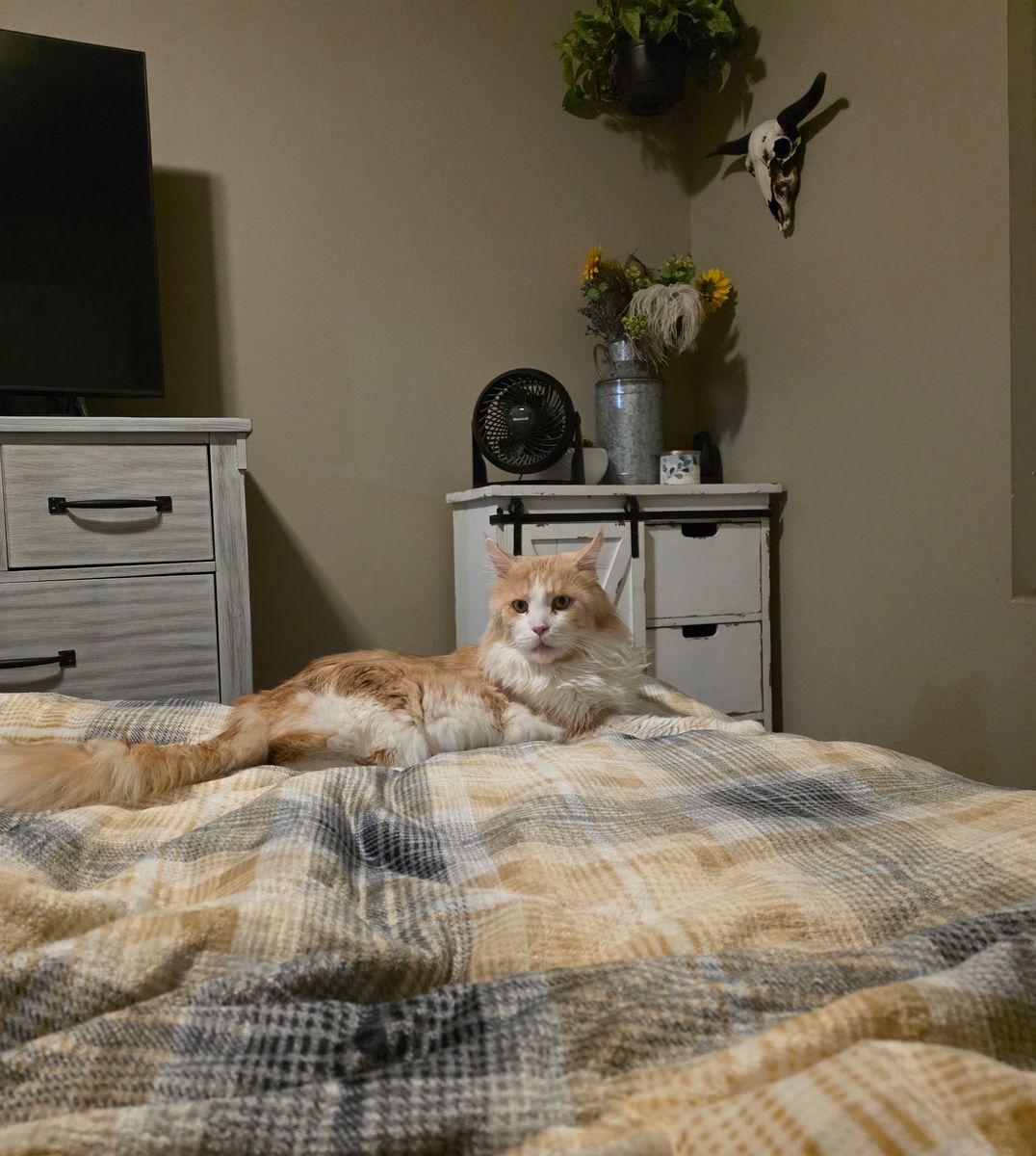 Hobbes