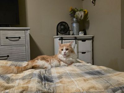 Hobbes