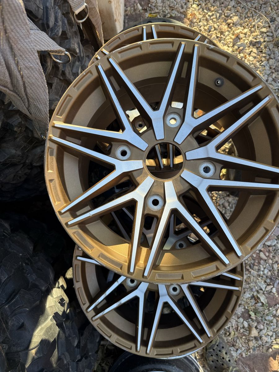 2024 Kawasaki KRX1000 gold wheels