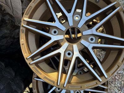 2024 Kawasaki KRX1000 gold wheels