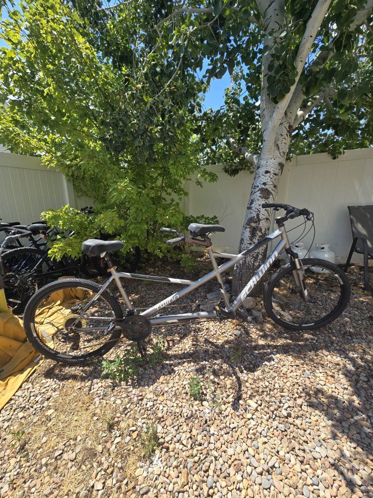 Schwinn Twinn Tandem Bicycle - Grey Aluminum Frame with Disc Brakes